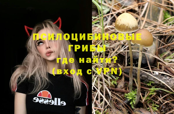 героин Алзамай